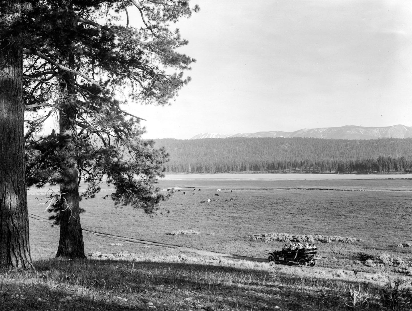 Big Bear Stage Tourist Car