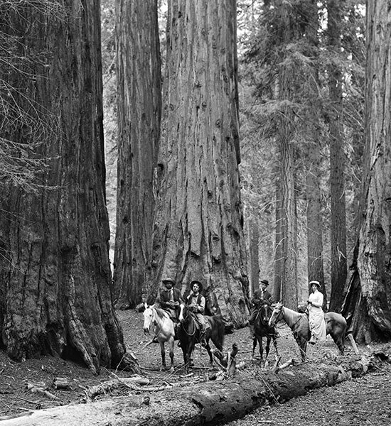 Riders - 1910